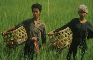 粒粒皆辛苦電影劇照2