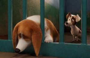 女皇哥基大冒險電影劇照11