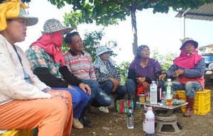 誰在山上唱歌 + 樂園 + 菁仔電影劇照4