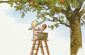 大壞蛋狐狸 - 香港兒童國際電影節 2018電影劇照2