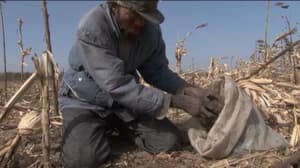 王兵︰無名者 (M+ Cinema Programmes)電影劇照3