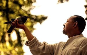 邪不壓正電影劇照8