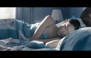 卡爾梅克的海鷗電影劇照2