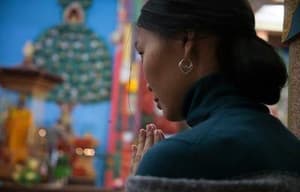 卡爾梅克的海鷗電影劇照3