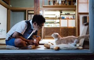 貓咪收集之家電影劇照2