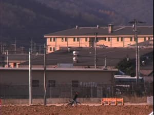 花街故事 (M+ Cinema Programmes)電影劇照3