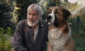 極地守護犬電影劇照7