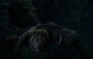 獅子王電影劇照8