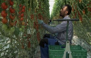 難有出頭天電影劇照8