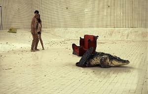 鱷口逃生電影劇照11