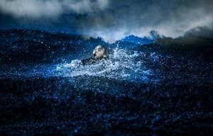 狂獸電影劇照12