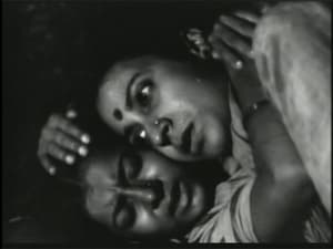 亞洲前衛電影節大台階放映節目: 無畏凝視 (M+ Cinema Programmes)電影劇照4