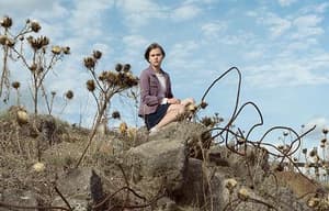 西西里離奇綁架電影劇照4