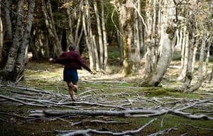 西西里離奇綁架電影劇照7