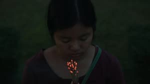 重構自身：邦本薩姆維查短片精選 (M+ Cinema Programmes)電影劇照5