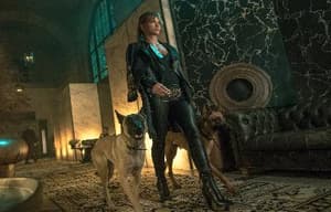 殺神John Wick 3電影劇照4