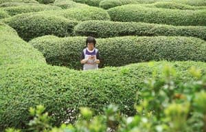 燈亮時電影劇照7