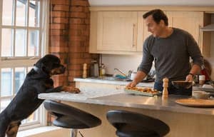 出Show狗仔隊電影劇照8