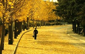 無問西東電影劇照10