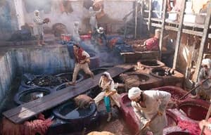 阿拉丁電影劇照7