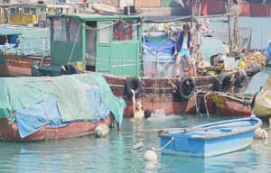 三夫電影劇照13