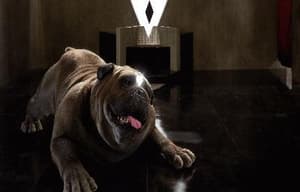 異人族電影劇照7