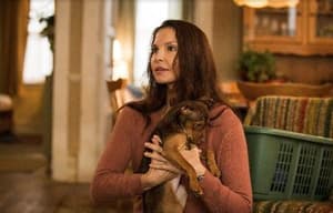 貝拉400哩的約定電影劇照4