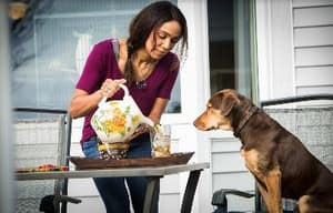 貝拉400哩的約定電影劇照5