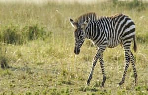 地球：奇妙的一天電影劇照3