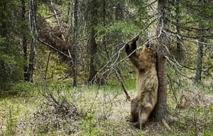 地球：奇妙的一天電影劇照4