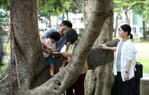 自由行電影劇照9