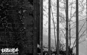 兄弟爬山：抗爭紀錄短片系列 - 香港獨立電影節2020電影劇照7