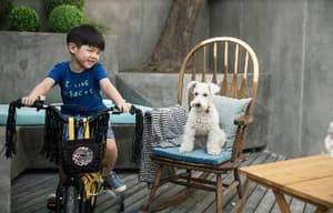 狗眼看人心電影劇照2