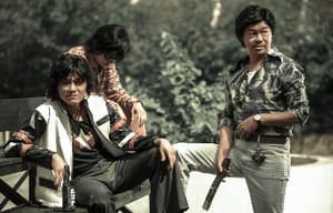 毒。誡電影劇照7