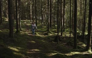 邊境奇聞電影劇照5