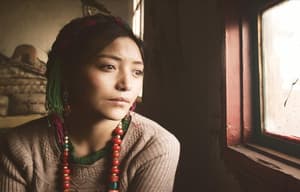 撞死了一隻羊電影劇照6