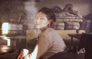 撞死了一隻羊電影劇照11