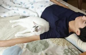 睡著吻別 醒來抱擁電影劇照10