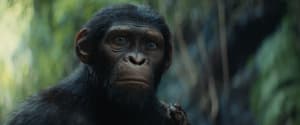 猿人爭霸戰：猩兇帝國電影劇照8