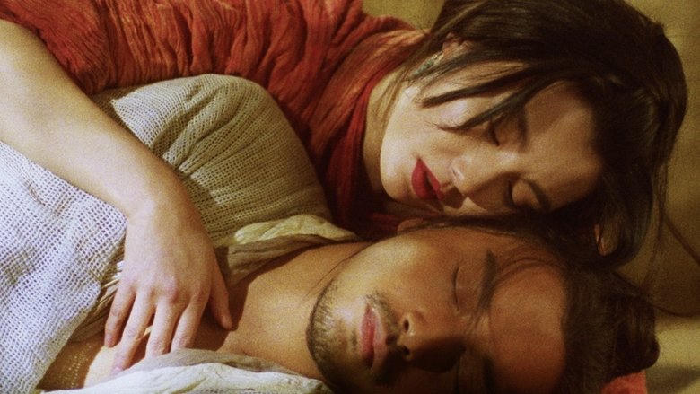 東邪西毒：終極版電影劇照1