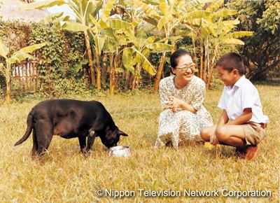 6日限定之愛電影劇照1