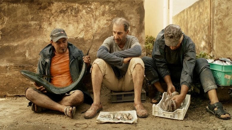 有毛冇翼飛天豬電影劇照1