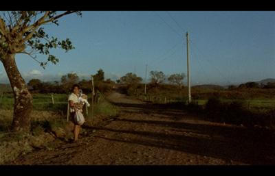 性愛慾森林電影劇照1