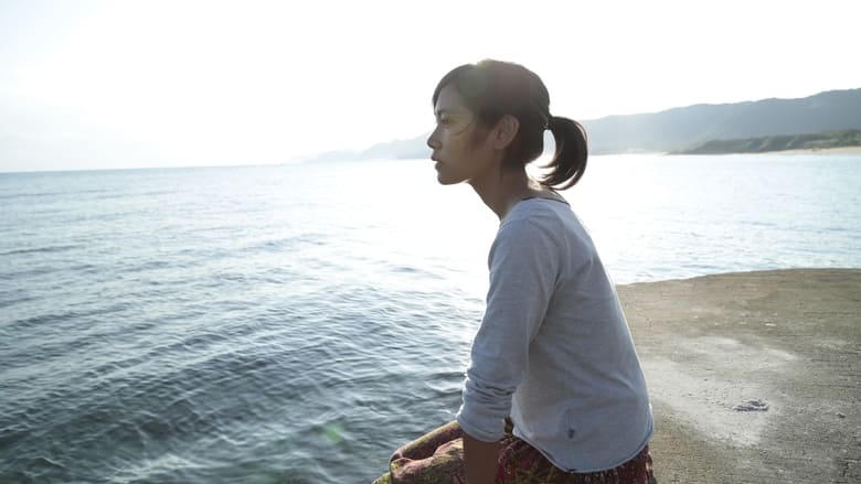 第二扇窗電影劇照1