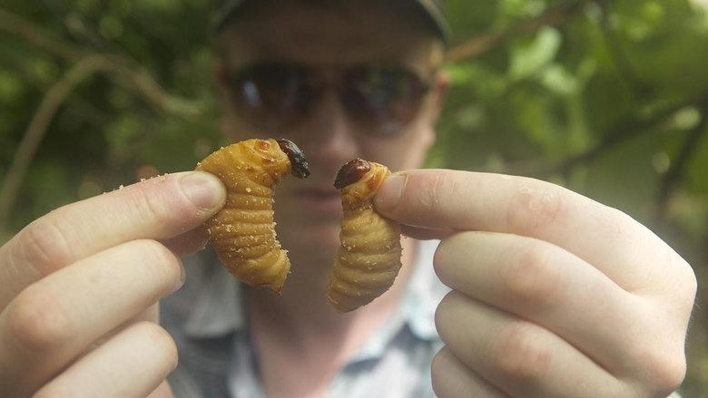 蟲食特工隊電影劇照1