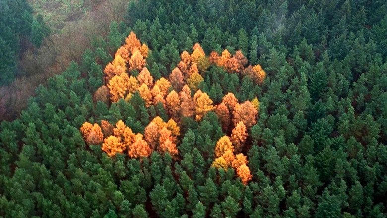 The Story of the Swastika電影劇照1