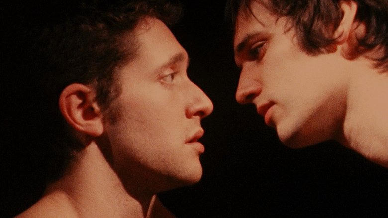 Sun Kissed電影劇照1