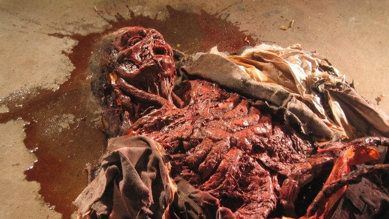 Cryptic Plasm電影劇照1