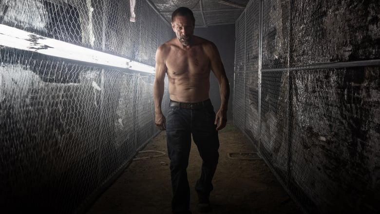 黑暗中格鬥電影劇照1