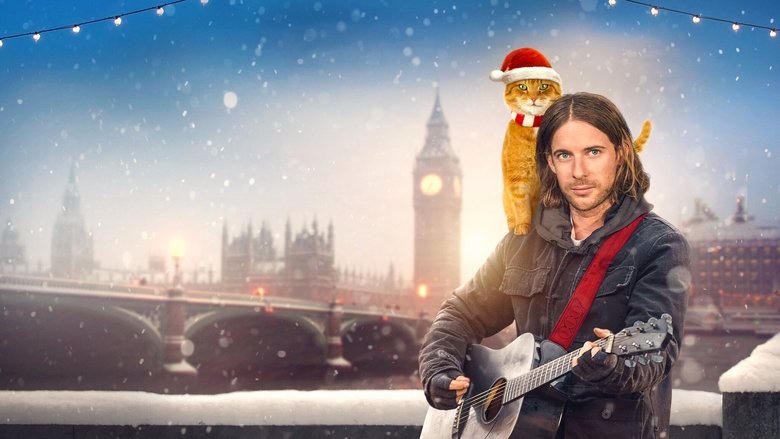 街角再遇Bob電影劇照1